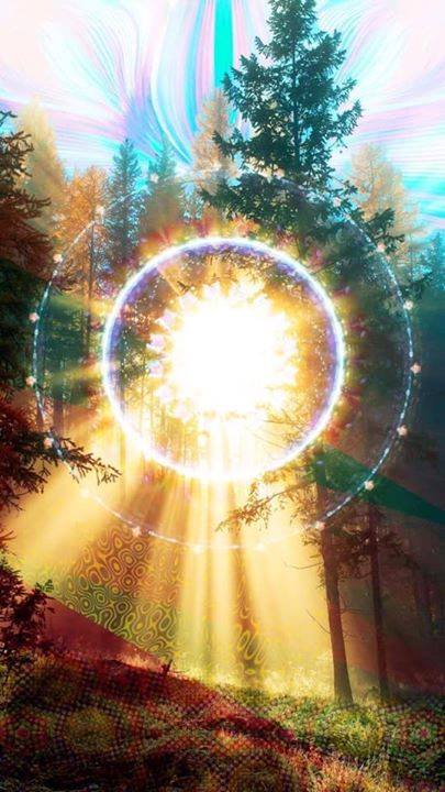 Happy New Year ~ 2022 Gifted&nbsp;activation