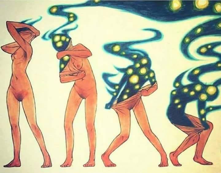 The Tail End of the Shedding Snake